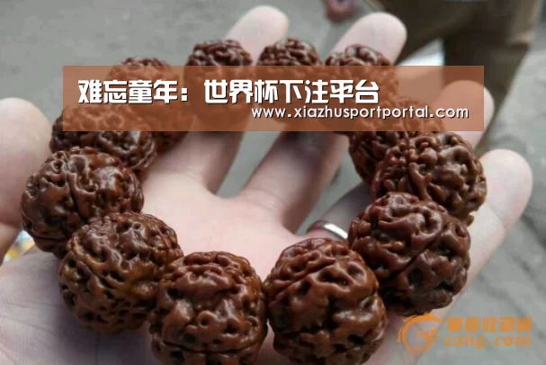 世界杯下注官网