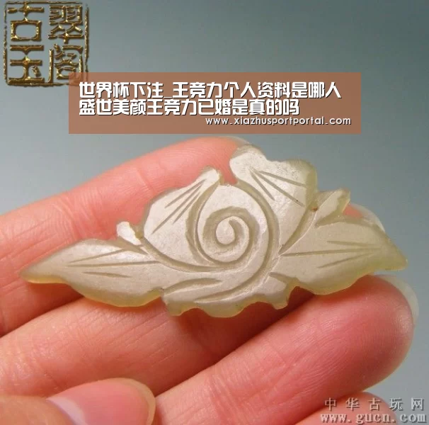 世界杯下注_王竞力个人资料是哪人 盛世美颜王竞力已婚是真的吗(图1) 世界杯下注官网