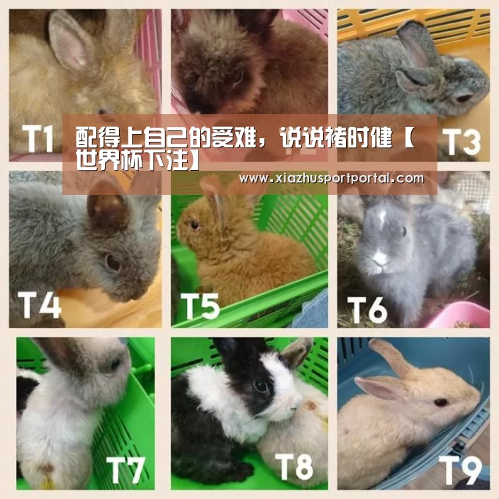世界杯投注网
