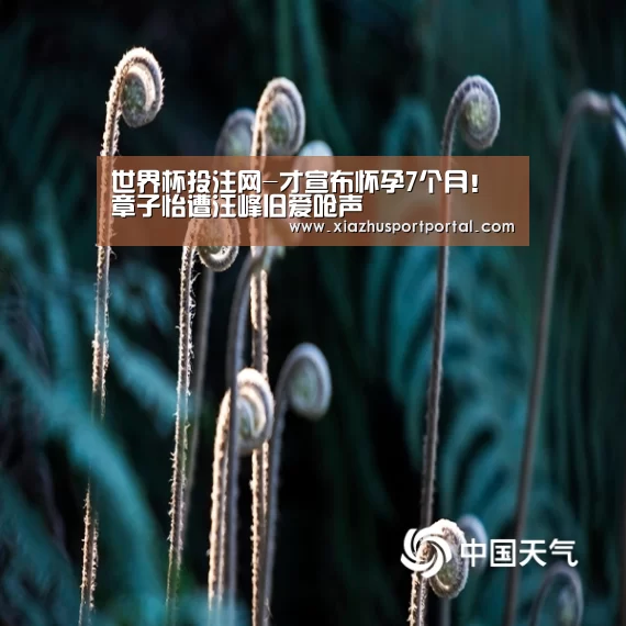 世界杯投注网-才宣布怀孕7个月！章子怡遭汪峰旧爱呛声